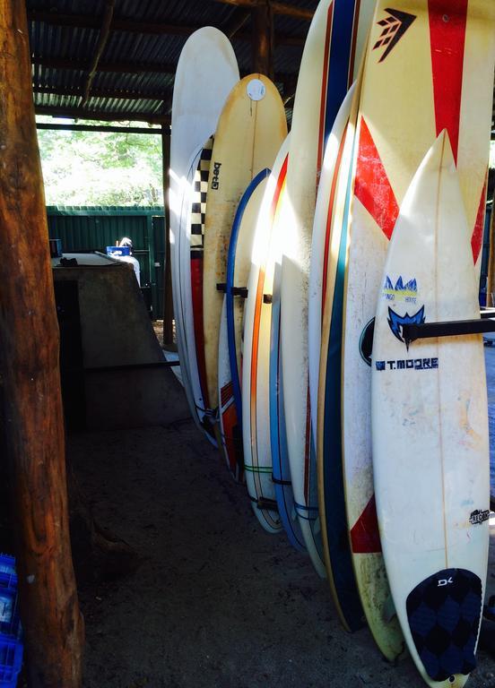 Coral Reef Surf Hostel And Camp تاماريندو المظهر الخارجي الصورة