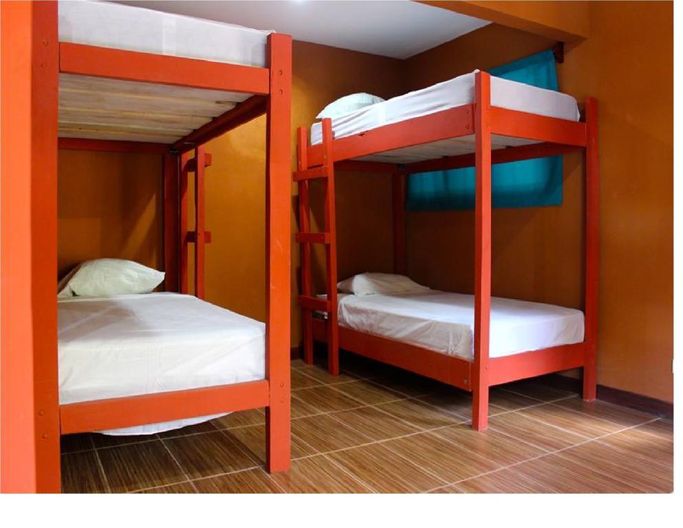 Coral Reef Surf Hostel And Camp تاماريندو الغرفة الصورة